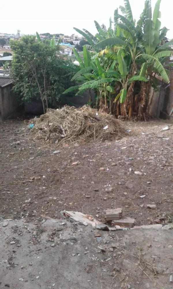 Terreno, 360 m² - Foto 4