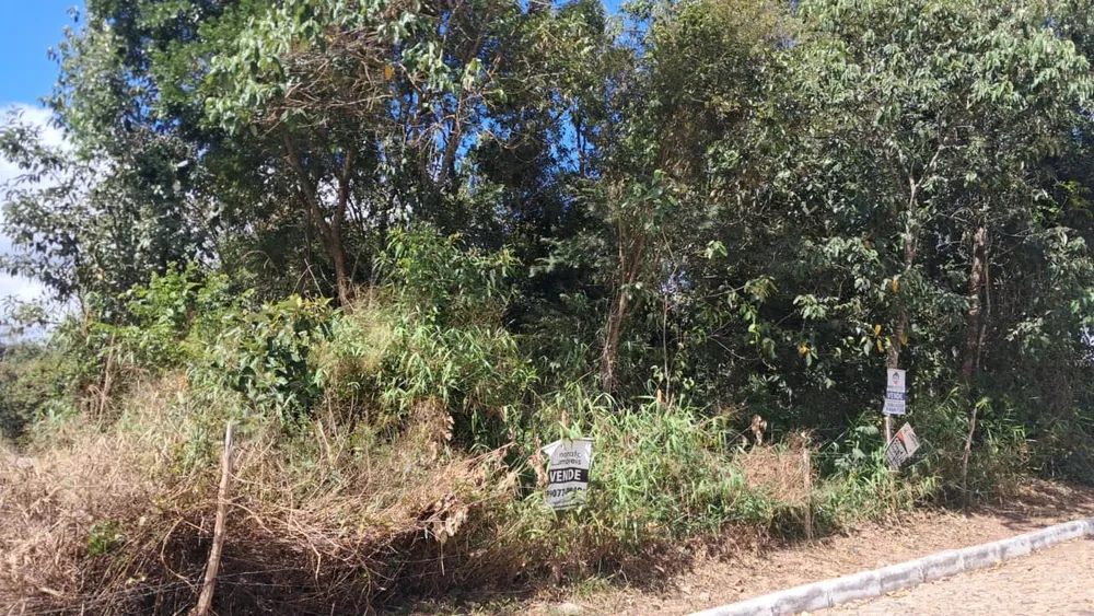 Terreno - Foto 1