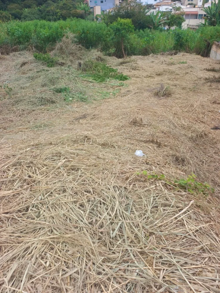Terreno, 395 m² - Foto 16