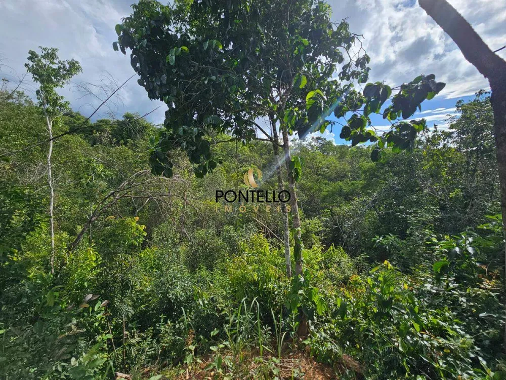 Chácara, 1 quarto, 1000 m² - Foto 13