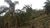 Terreno, 2529 m² - Foto 6