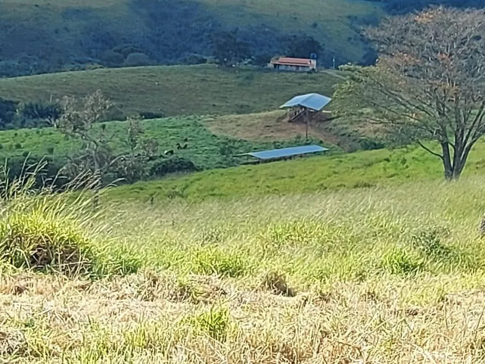 Fazenda, 145 hectares - Foto 3