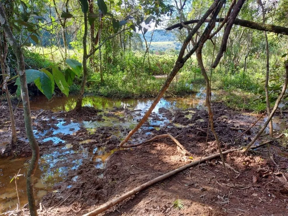 Fazenda, 145 hectares - Foto 1