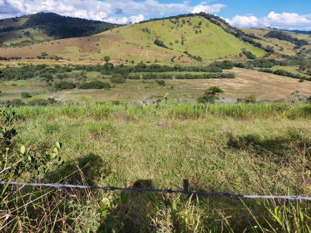 Fazenda, 145 hectares - Foto 4