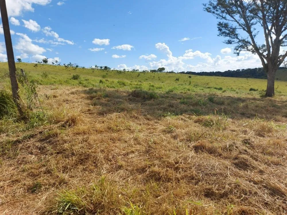Fazenda, 145 hectares - Foto 3