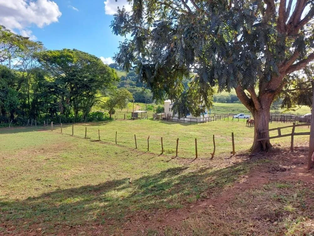 Fazenda, 145 hectares - Foto 2