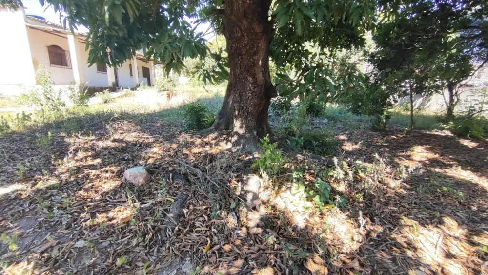 Terreno - Foto 4