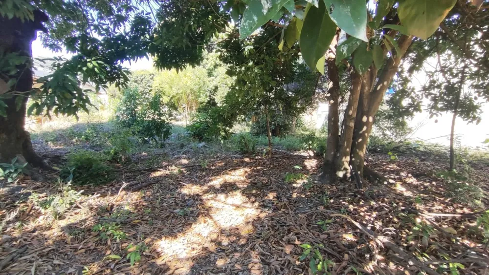 Terreno - Foto 8