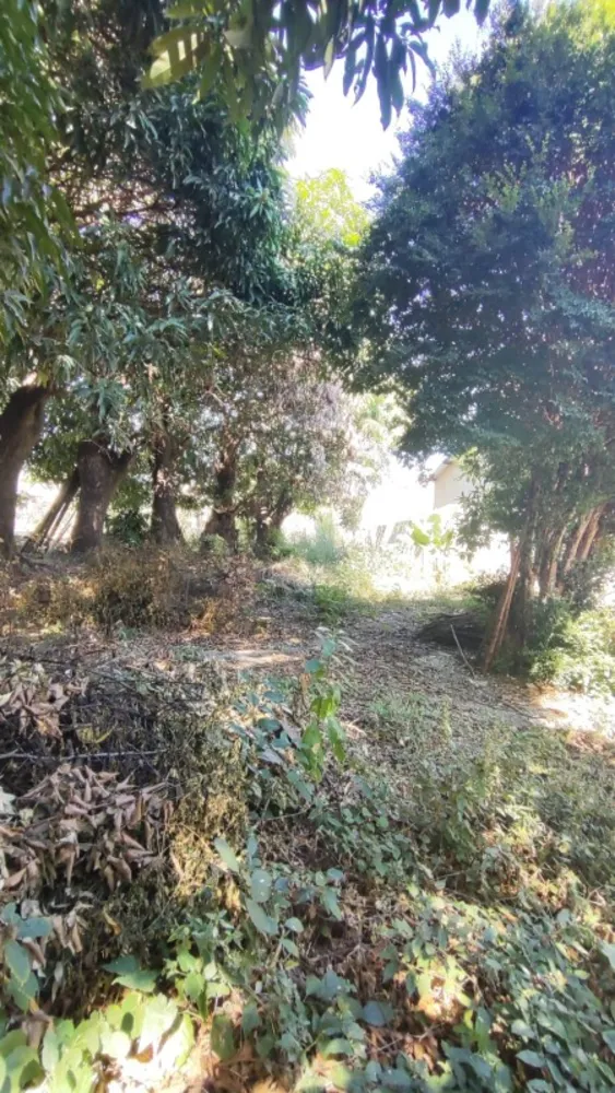 Terreno - Foto 6