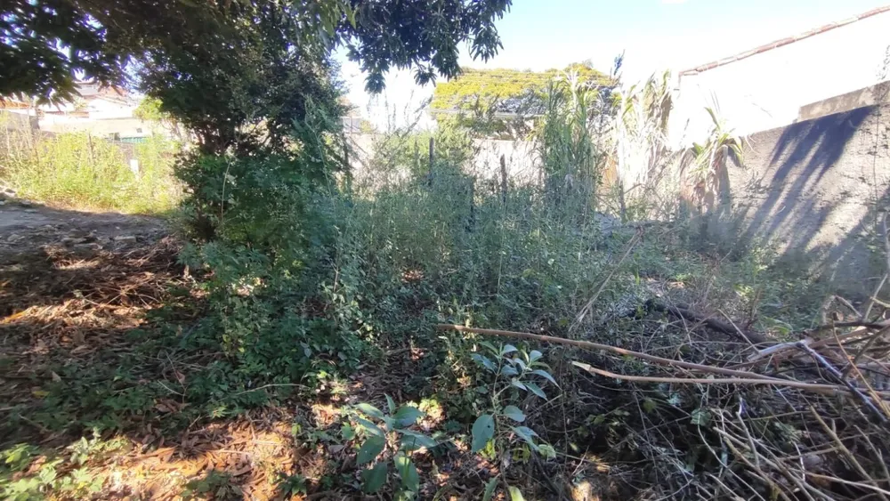 Terreno - Foto 5