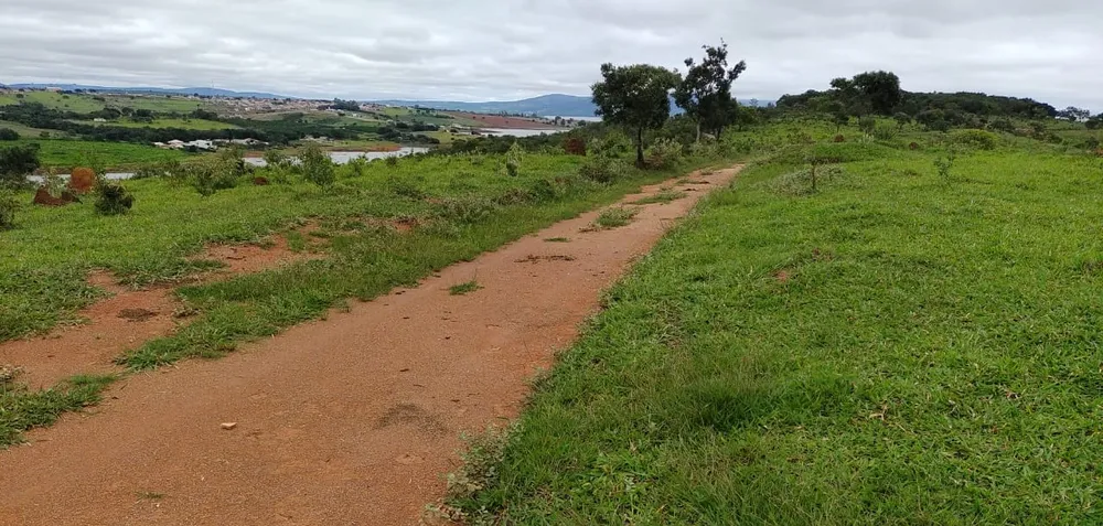 Fazenda, 95 hectares - Foto 3