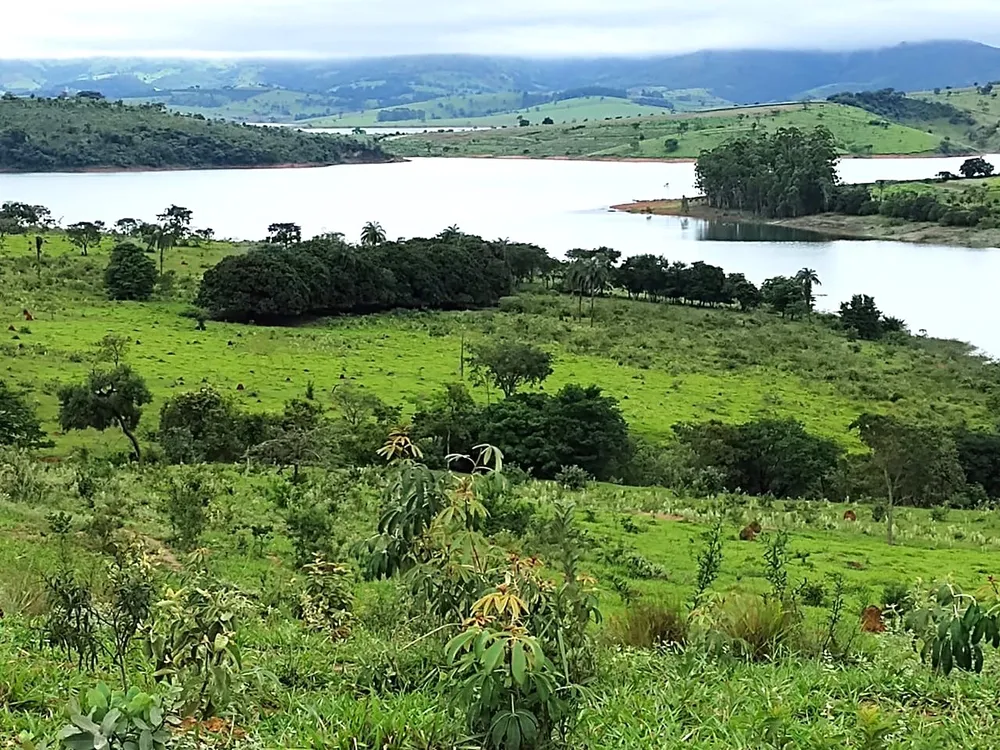 Fazenda, 95 hectares - Foto 3