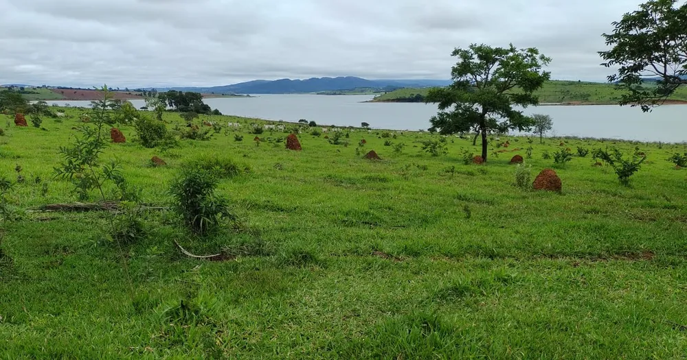Fazenda, 95 hectares - Foto 10