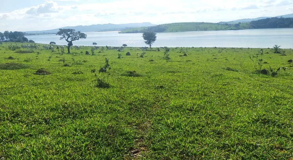 Fazenda, 95 hectares - Foto 4
