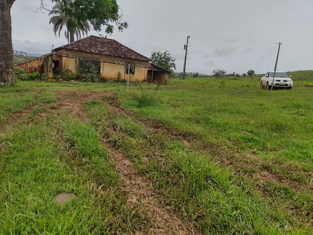 Fazenda, 95 hectares - Foto 18