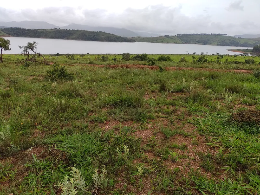 Fazenda, 95 hectares - Foto 13