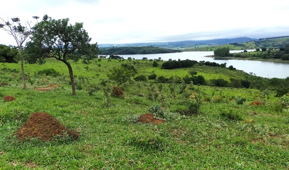 Fazenda, 95 hectares - Foto 5