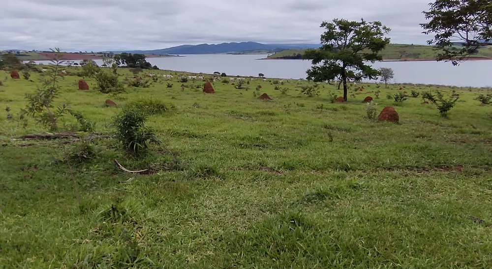 Fazenda, 95 hectares - Foto 8