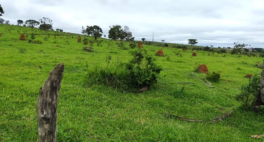 Fazenda, 95 hectares - Foto 11