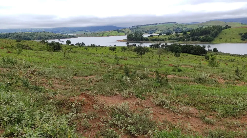 Fazenda, 95 hectares - Foto 7