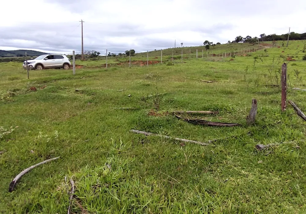 Fazenda, 95 hectares - Foto 9