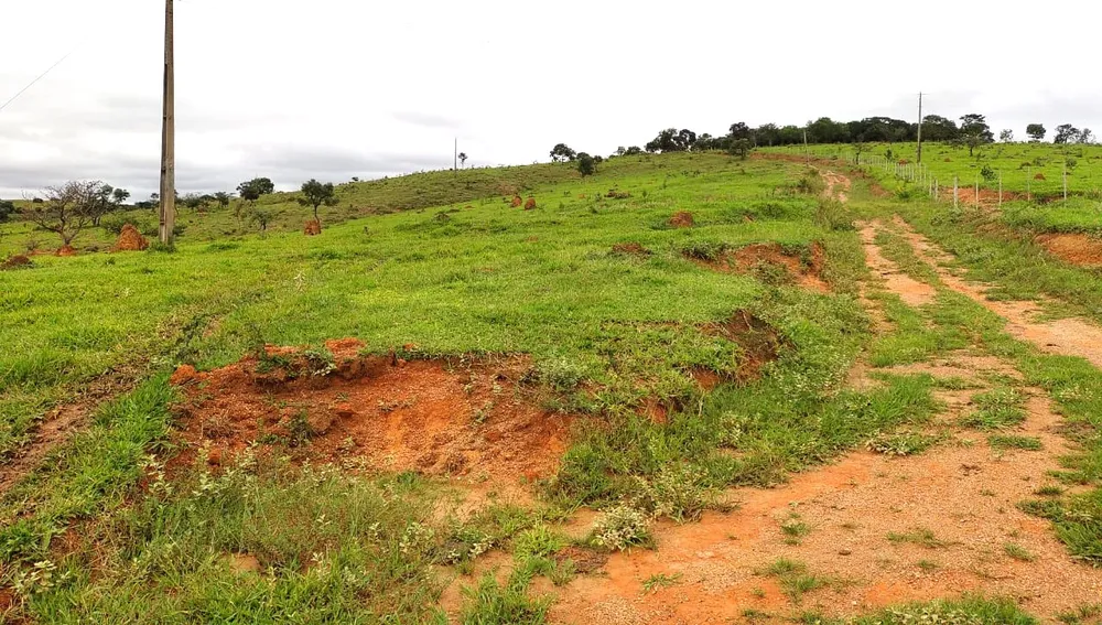 Fazenda, 95 hectares - Foto 7