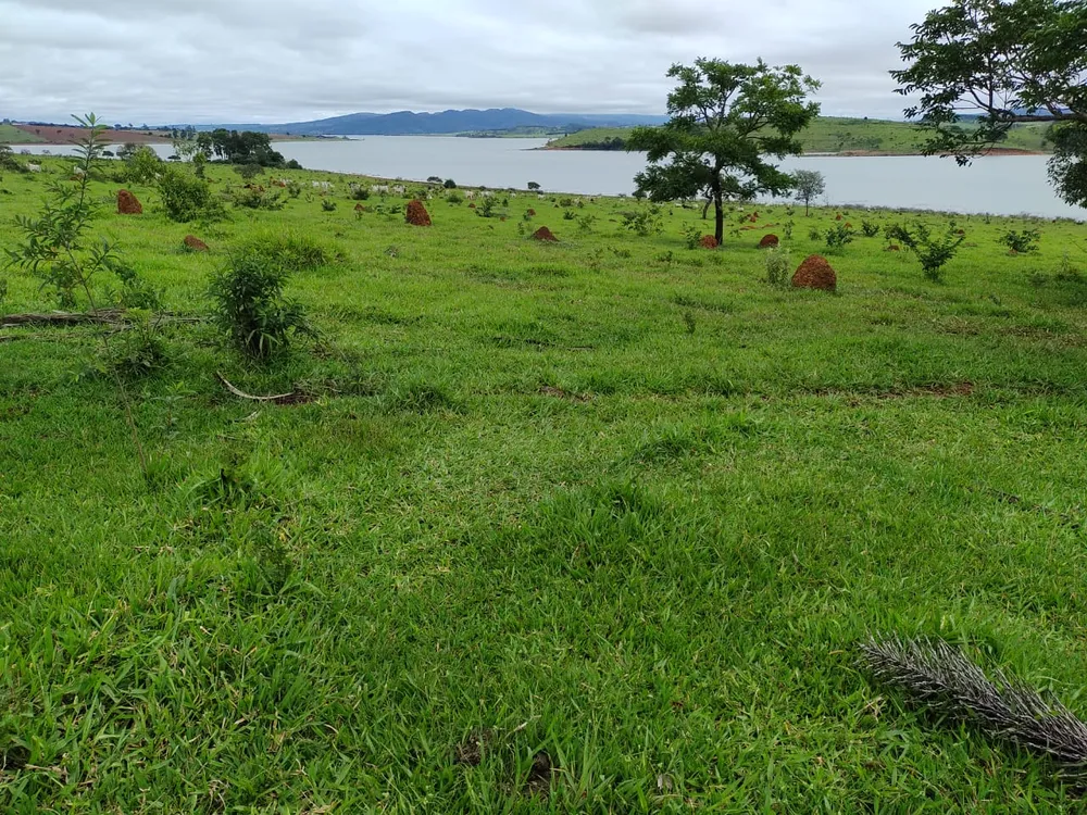 Fazenda, 95 hectares - Foto 6
