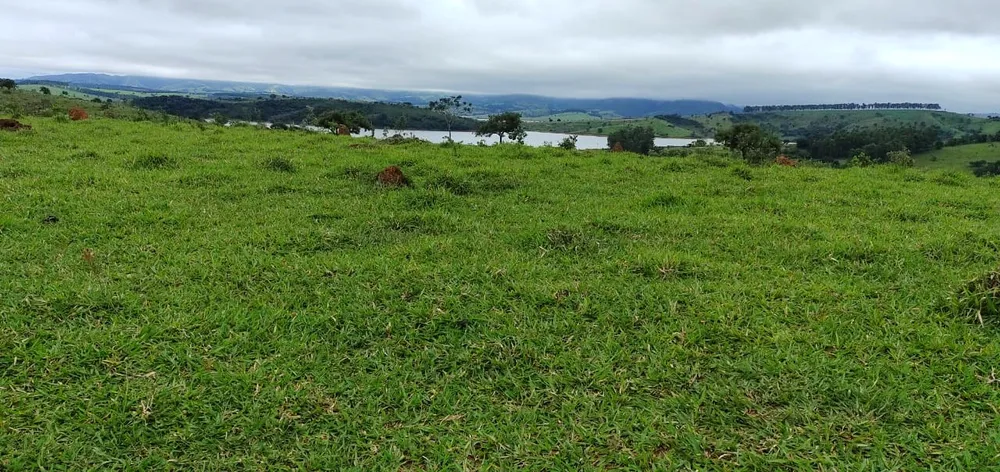 Fazenda, 95 hectares - Foto 4