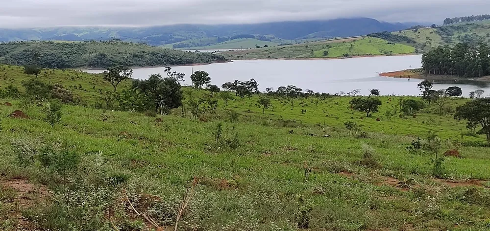 Fazenda, 95 hectares - Foto 15
