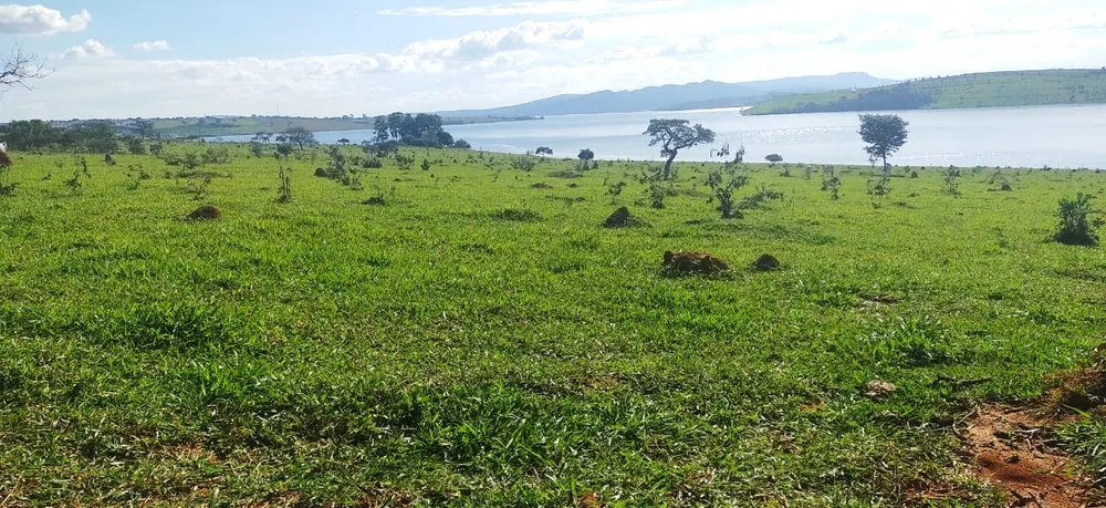 Fazenda, 95 hectares - Foto 11