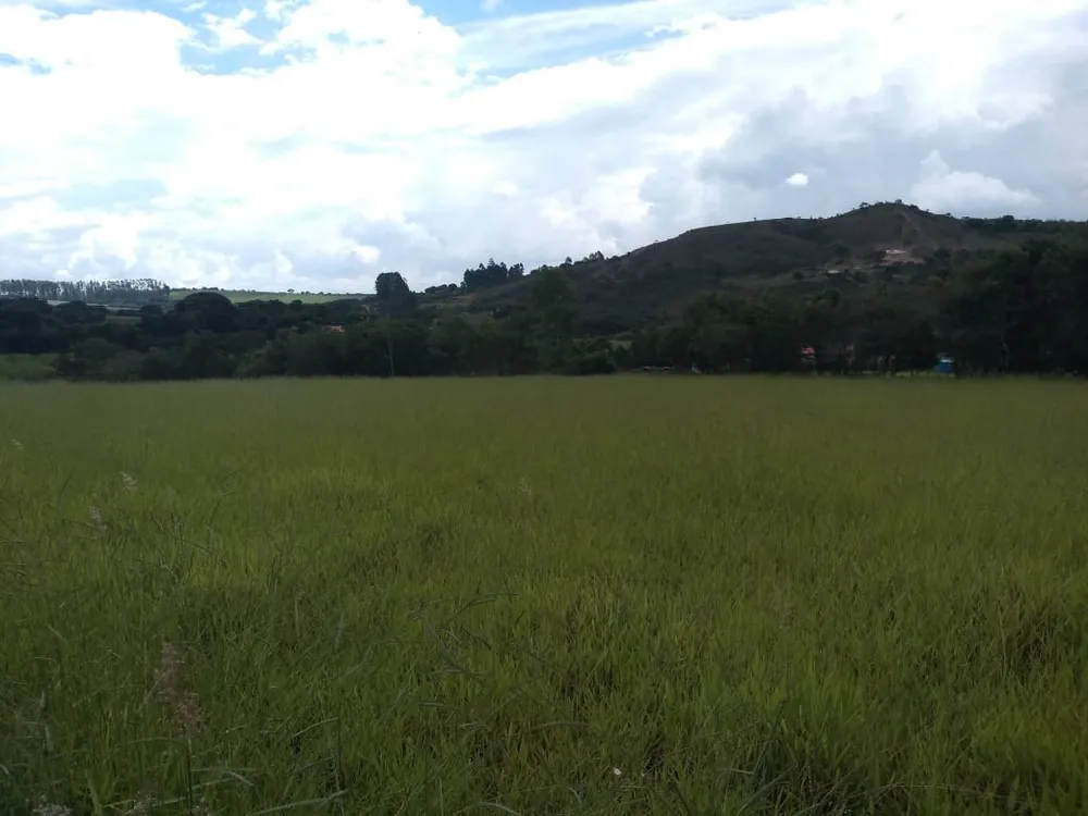 Terreno, 1536 m² - Foto 6