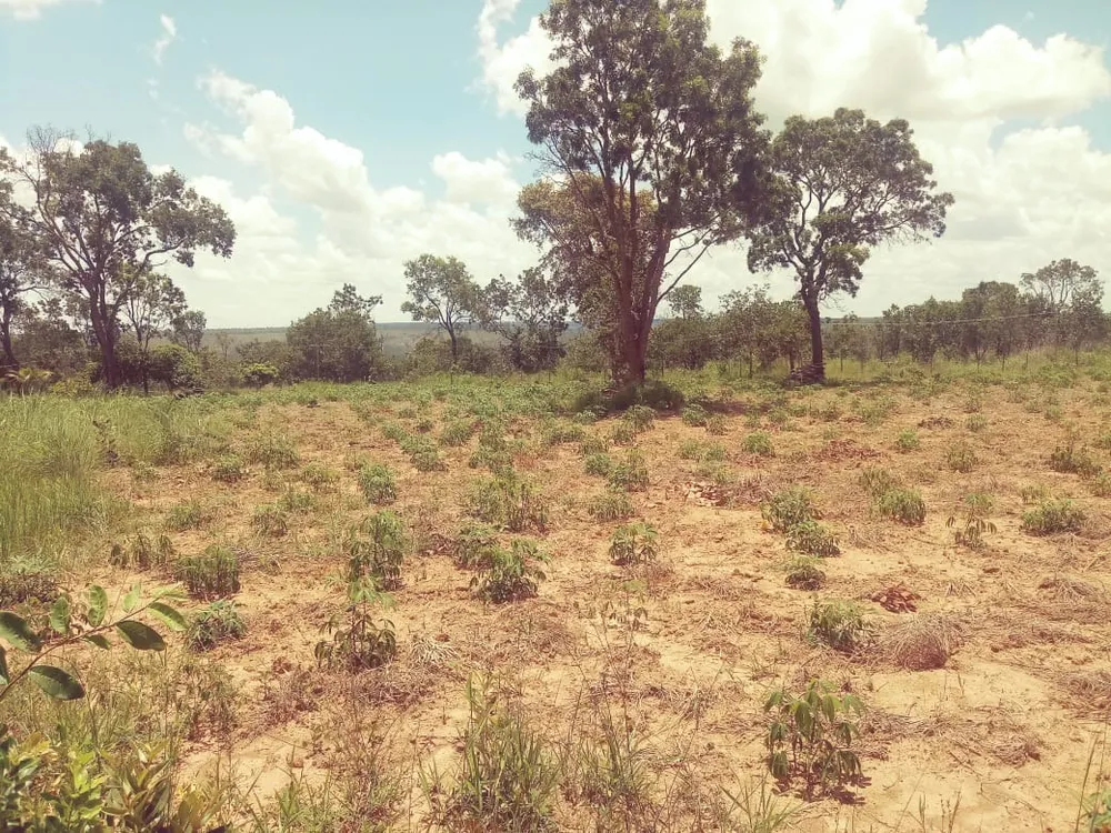 Terreno, 31000 m² - Foto 5