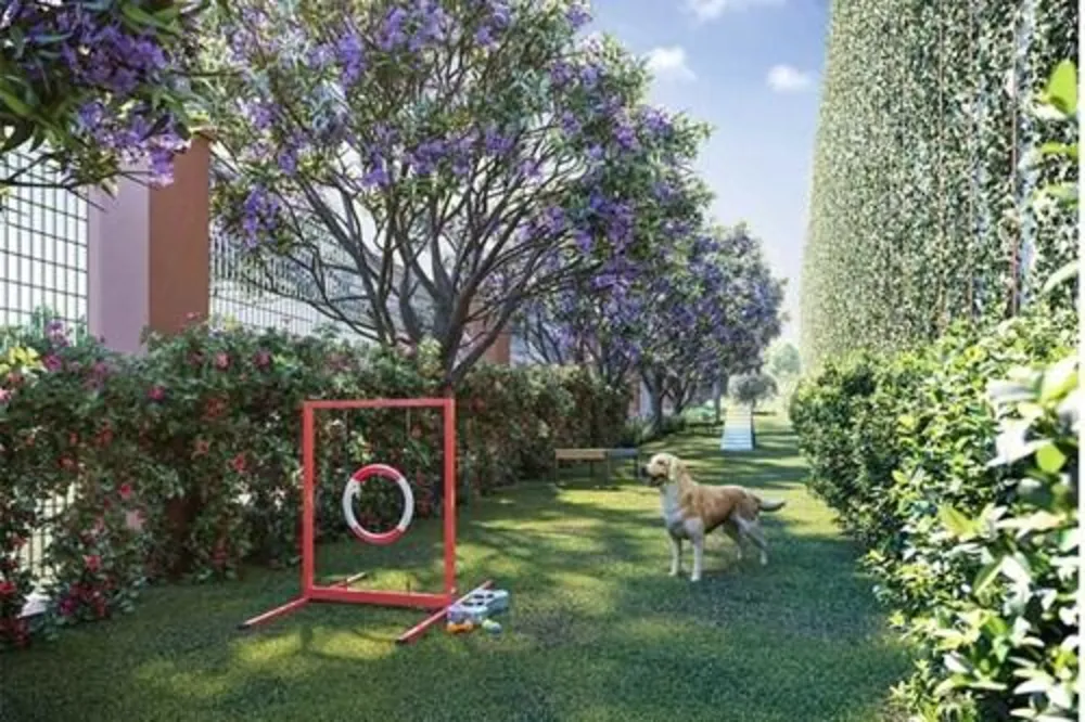Apartamento, 4 quartos, 227 m² - Foto 6