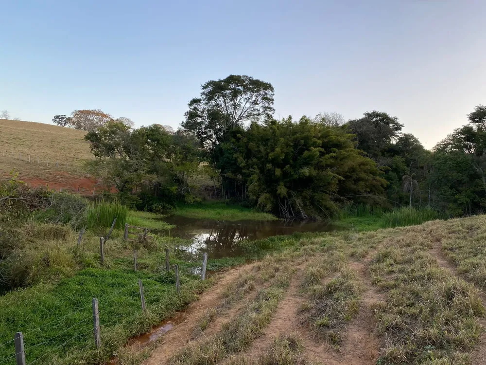 Chácara, 3 quartos, 30 hectares - Foto 7