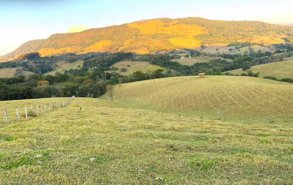 Chácara, 3 quartos, 30 hectares - Foto 6