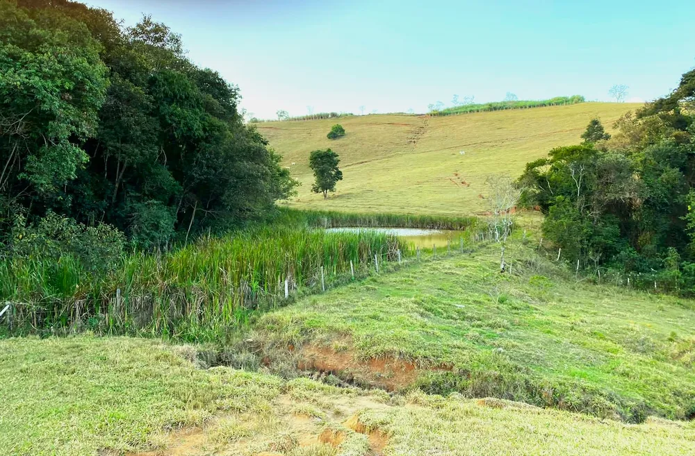 Chácara, 3 quartos, 30 hectares - Foto 1