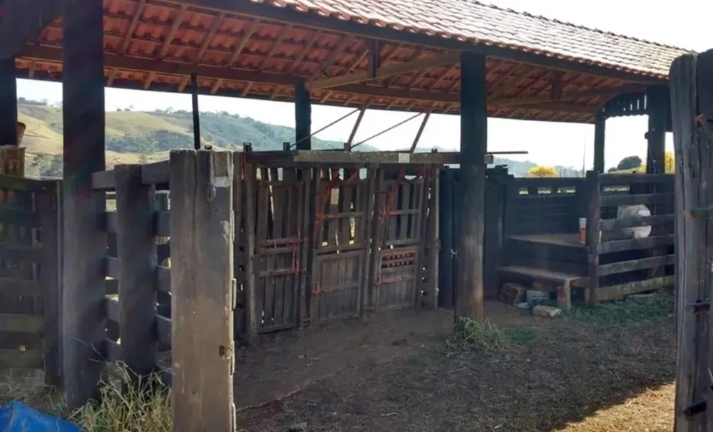 Chácara, 3 quartos, 30 hectares - Foto 9