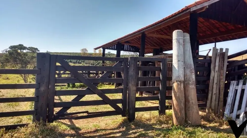 Chácara, 3 quartos, 30 hectares - Foto 8