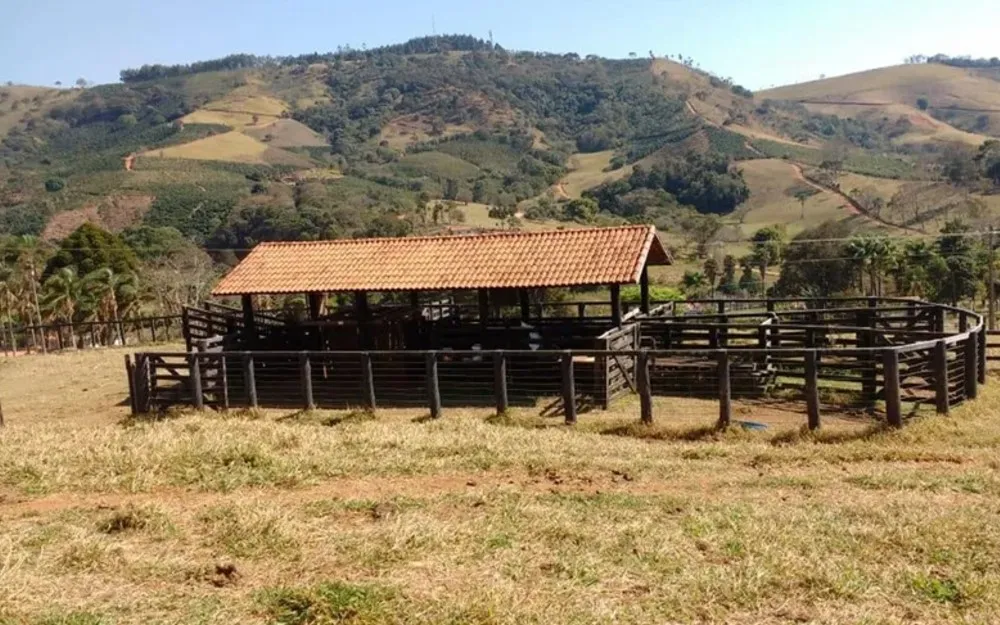 Chácara, 3 quartos, 30 hectares - Foto 10