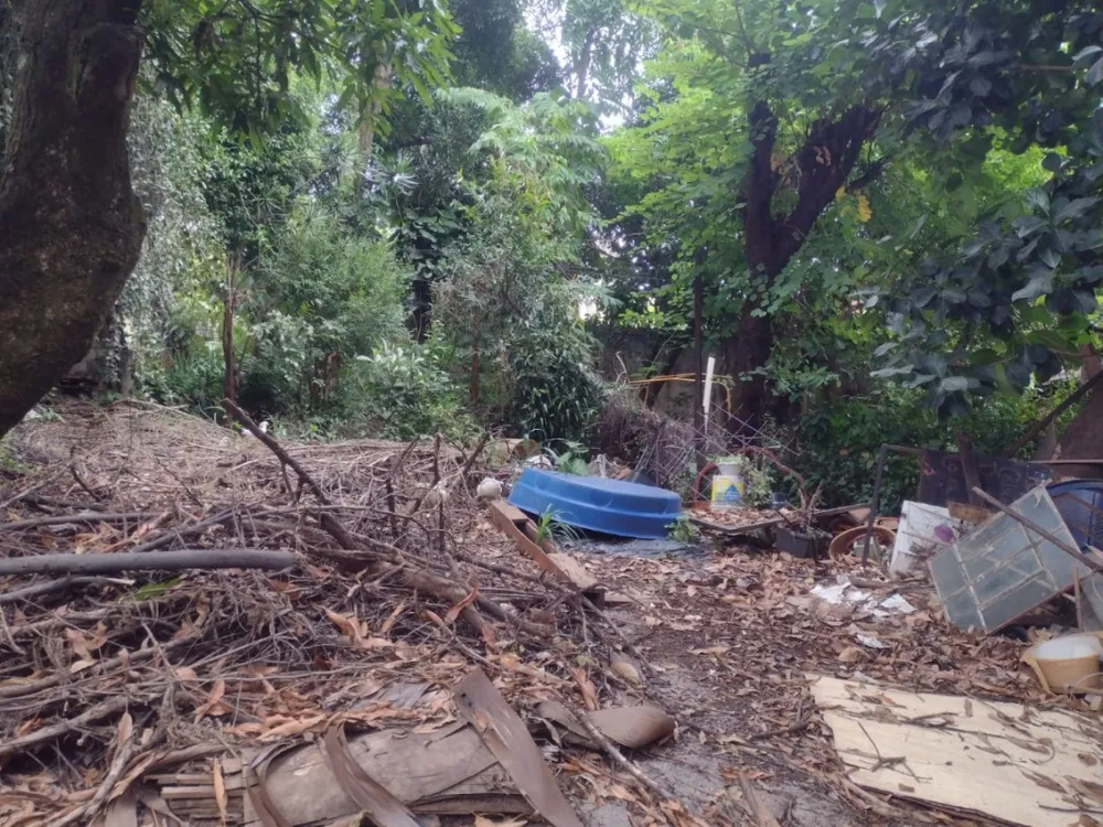 Terreno - Foto 13