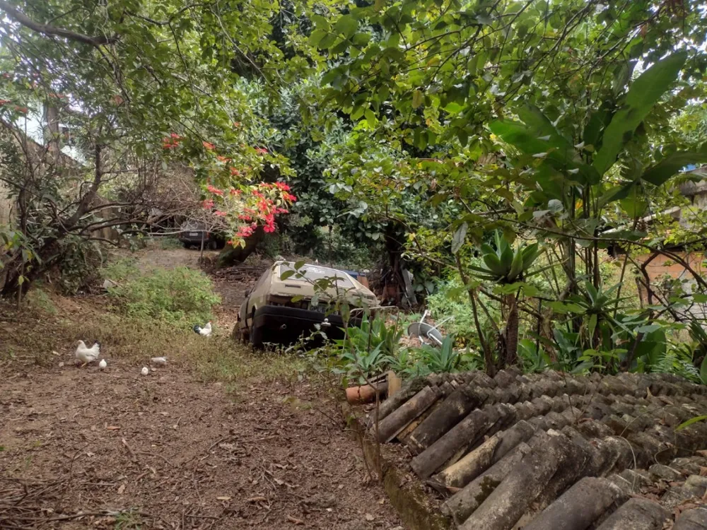 Terreno - Foto 3