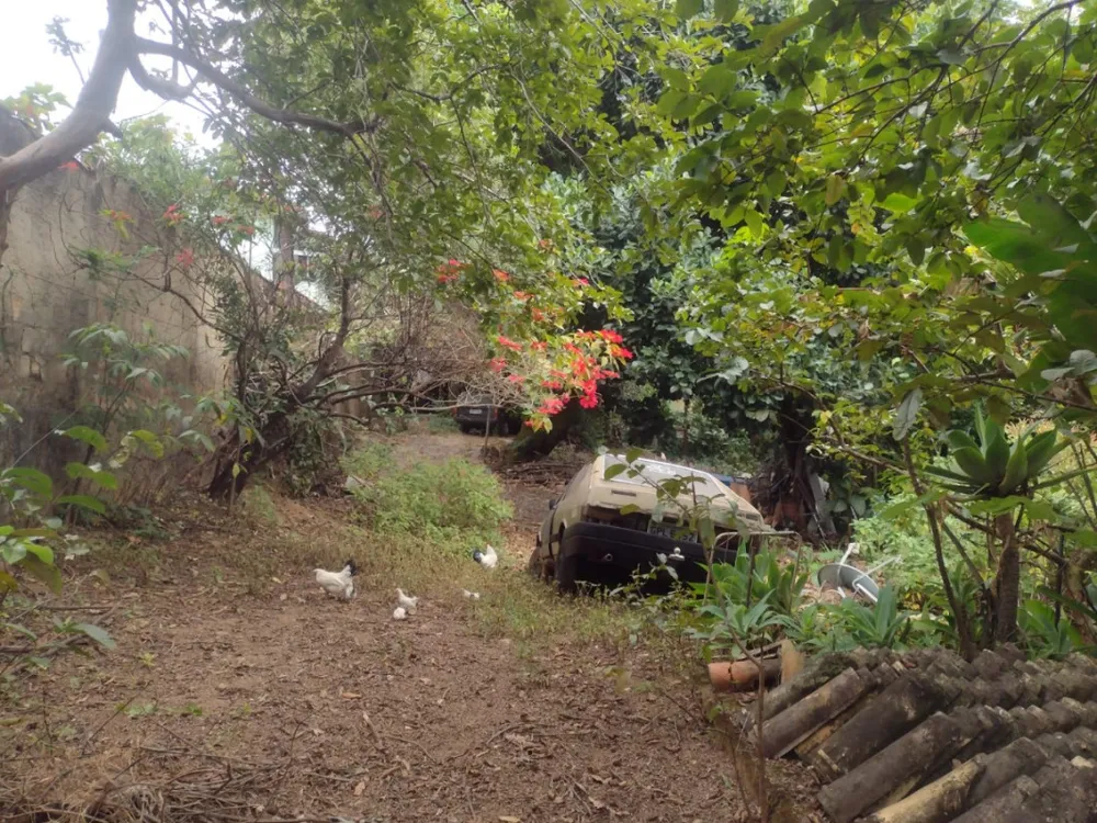 Terreno - Foto 5