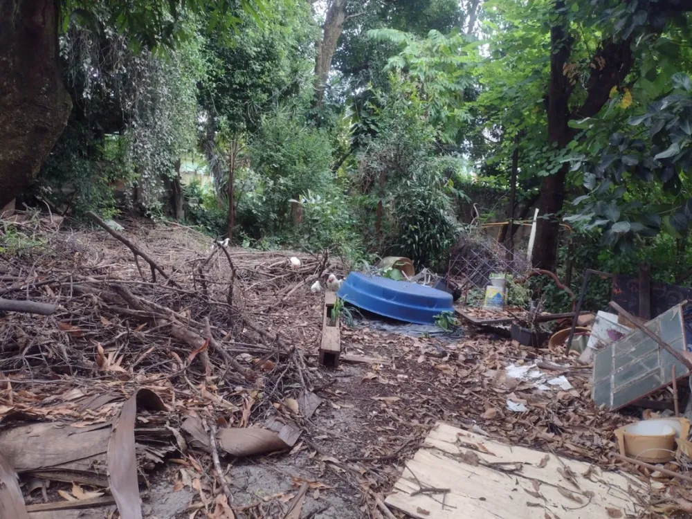 Terreno - Foto 6