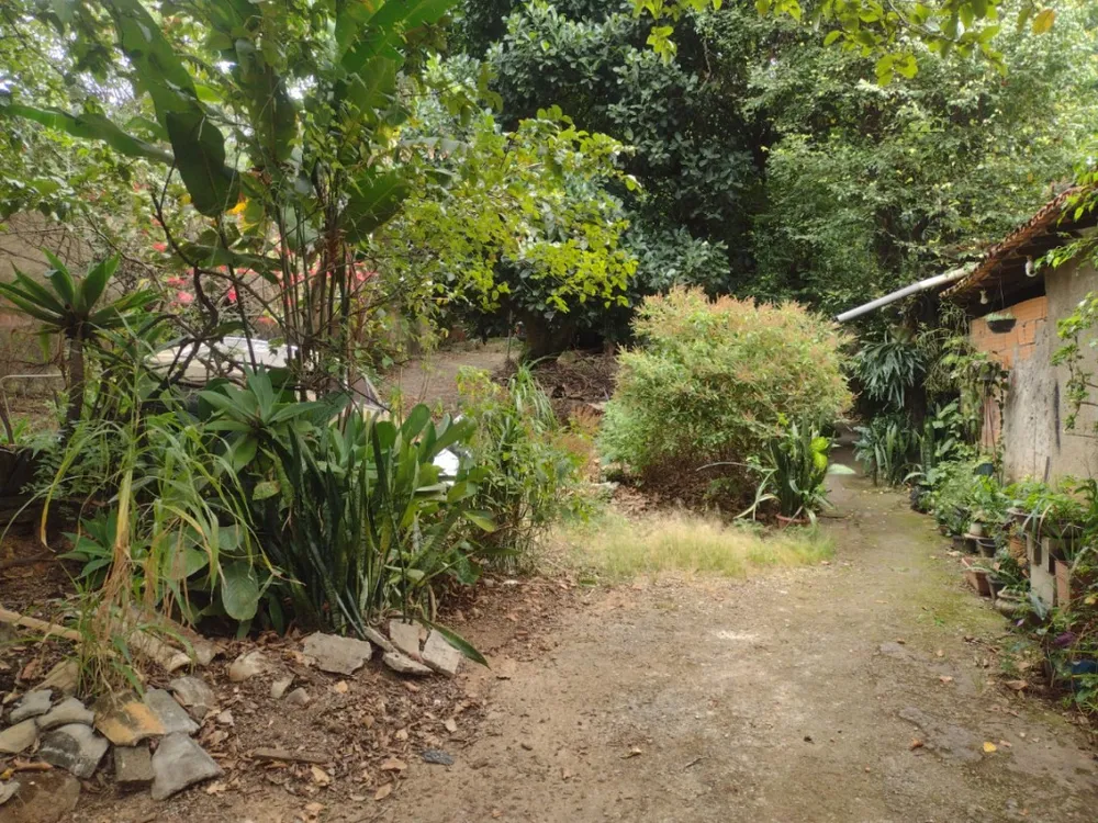 Terreno - Foto 7