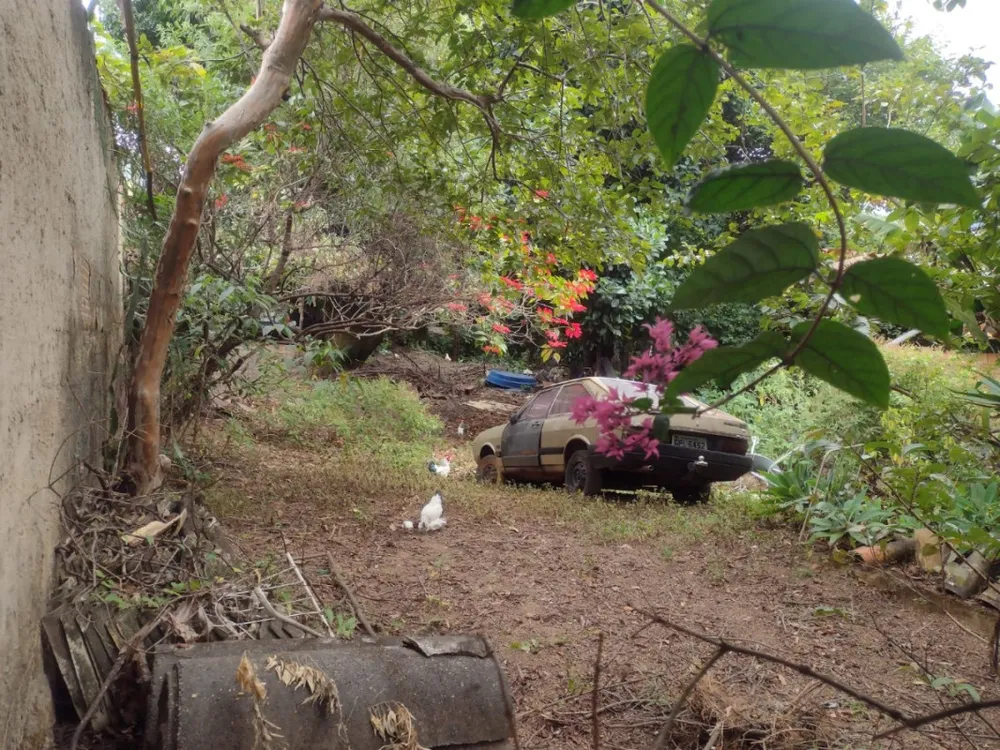 Terreno - Foto 11