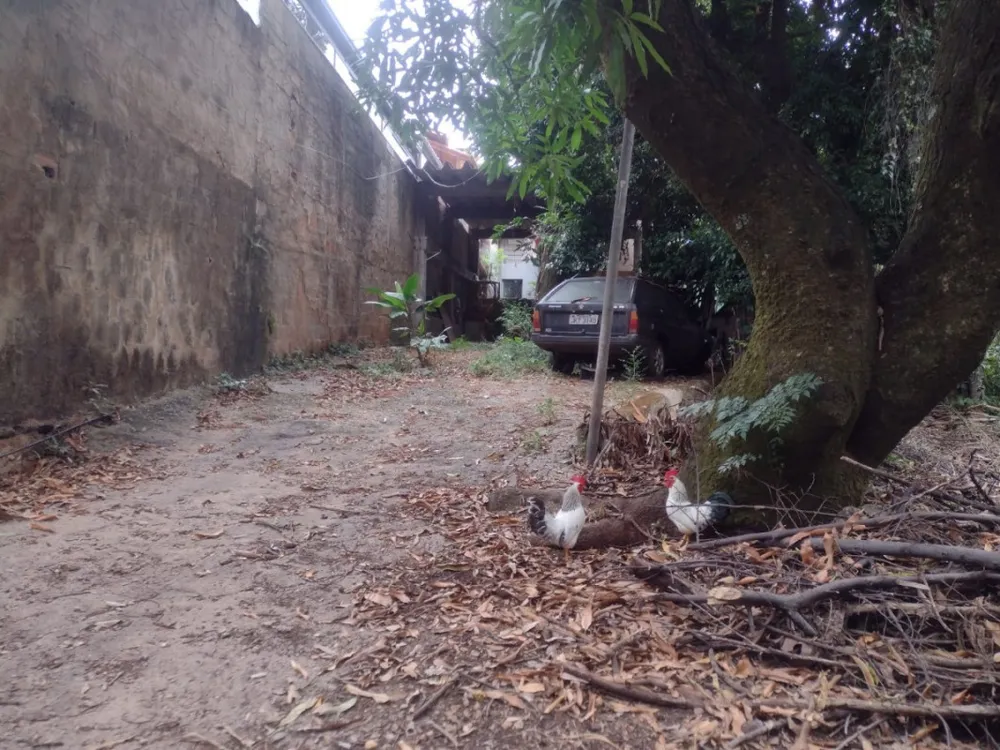 Terreno - Foto 10