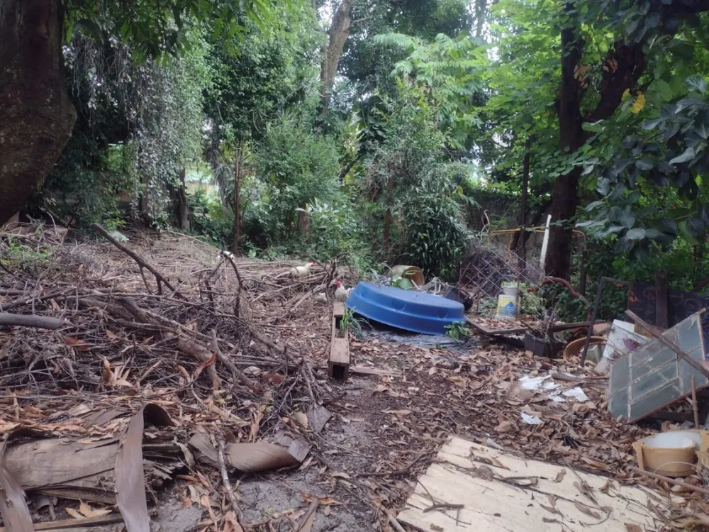 Terreno - Foto 2