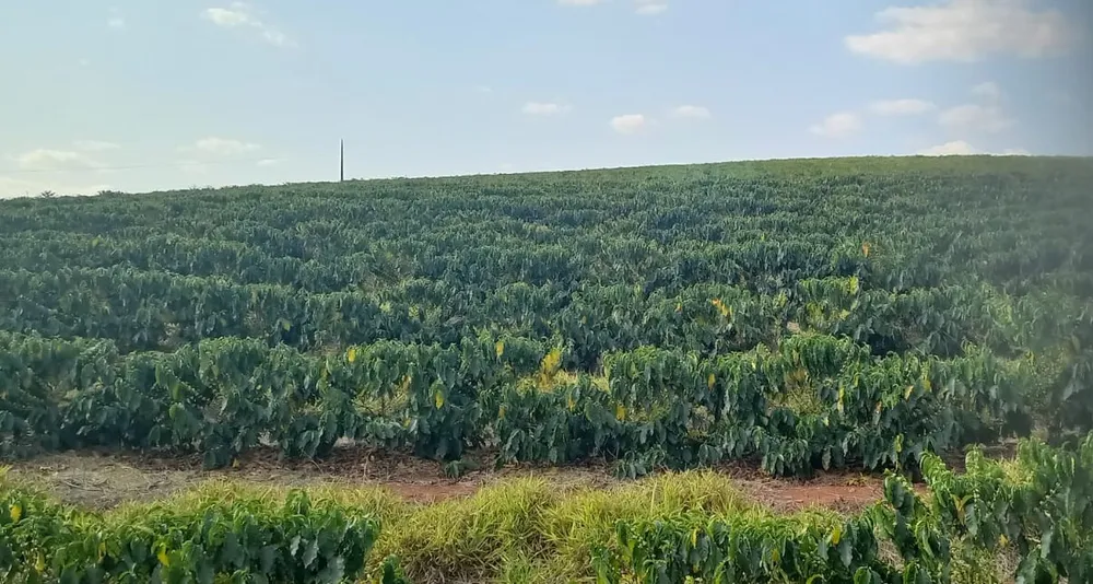Fazenda, 420 hectares - Foto 2