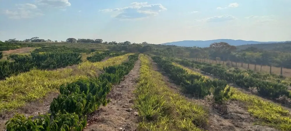 Fazenda, 420 hectares - Foto 6