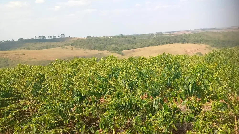 Fazenda, 420 hectares - Foto 16